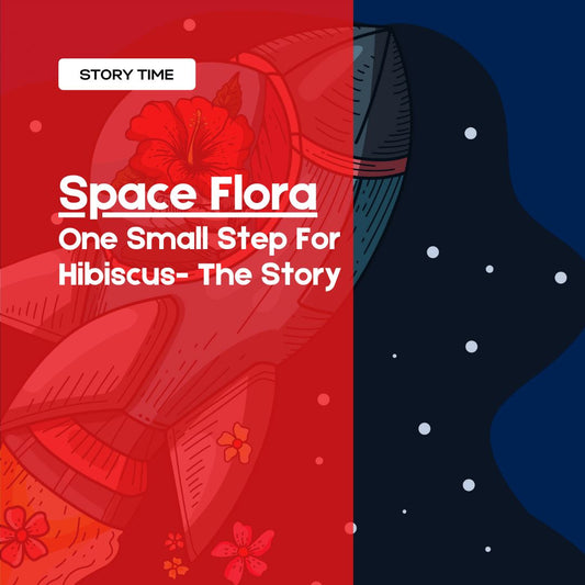 Space Flora | Space Flora | Origins: One Small Step For Hibiscus